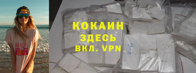 как найти закладки  Долинск  Cocaine Fish Scale 